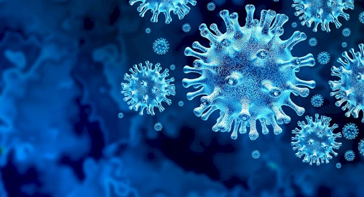 Mumcular’da Koronavirüs Kaybı