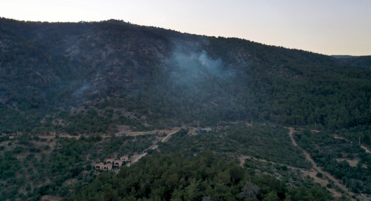 12 Hektar Ormanlık Alan Yandı