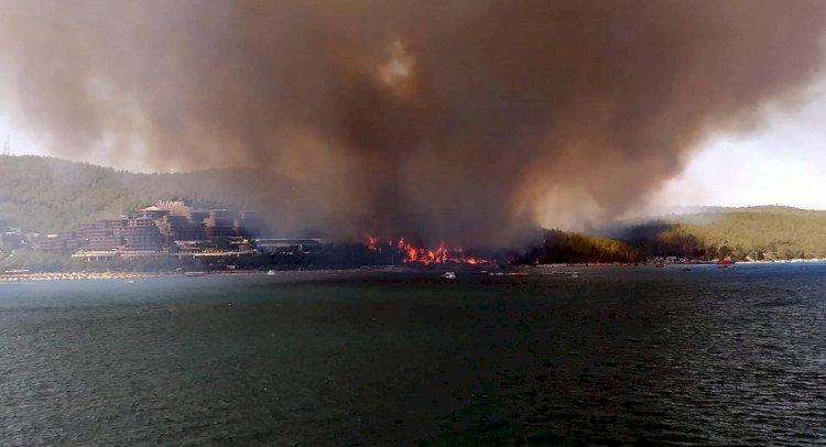 Pina Yarımadası'nda Yangın!