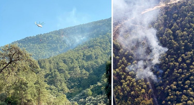Milas'ta Çıkan Orman Yangını Kontrol Altına Alındı