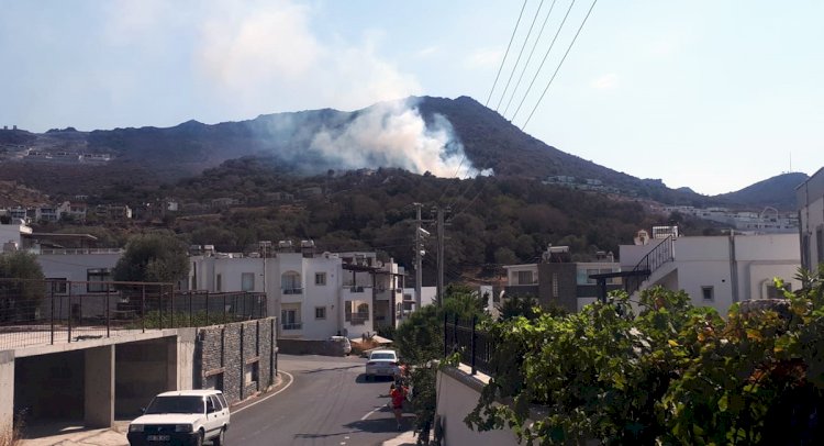 Turgutreis Karabağ'da Yangın