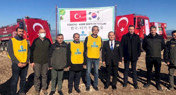 Türk-Kore Dostluk Ormanı Oluşturuldu