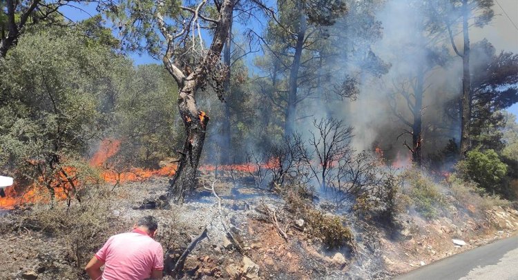 Ormanda Çıkan Yangın Söndürüldü