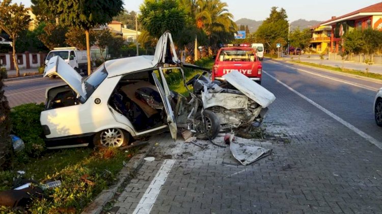 Ağaca Çarpan Otomobilin Sürücüsü Öldü