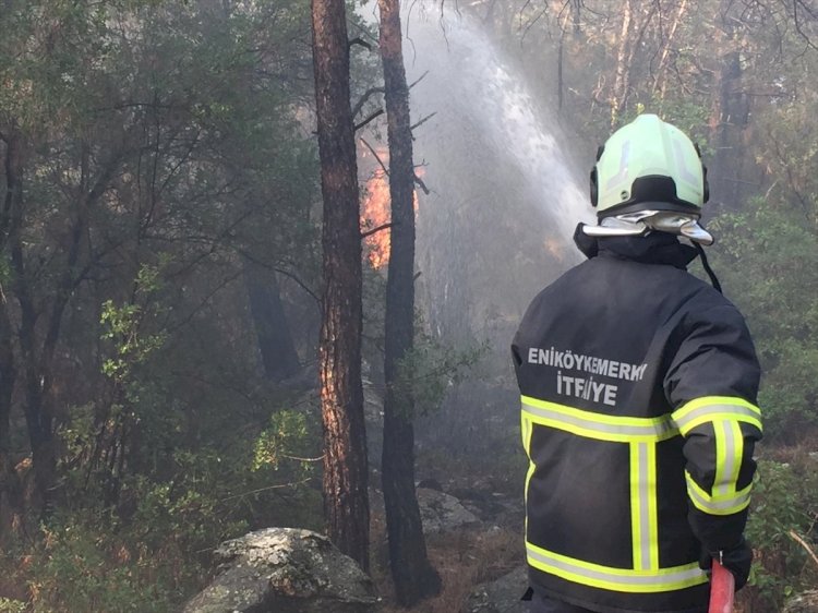 Milas'ta Orman Yangını Çıktı