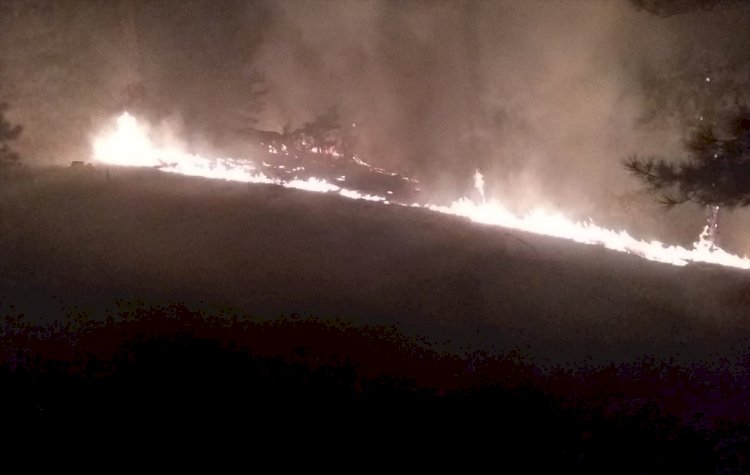 Köyceğiz ve Marmaris'te Orman Yangını